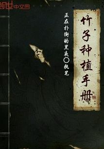 英雄联盟的中单英雄属性