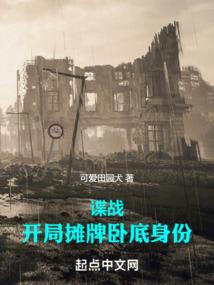 犯罪mod