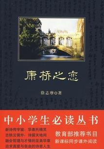 抗争游戏