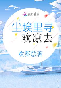 甲胄属性