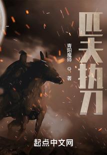 梦幻西游城堡大战