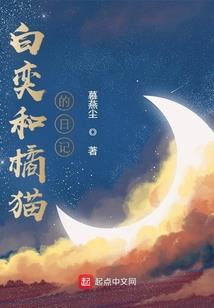 梦幻西游 梦幻流星职业