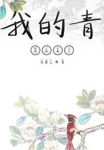 阴阳师 没有画面