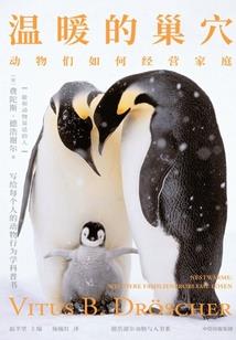 eve 异常攻略