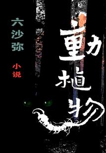 问道手游换手机就没了
