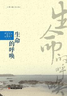 杀手PS4汉化