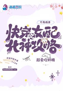 LR最佳装备