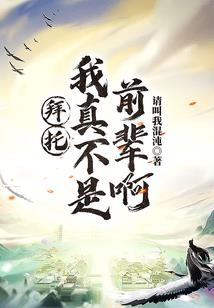 梦幻西游电脑版血宠内丹