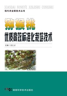魔兽世界战士排行榜