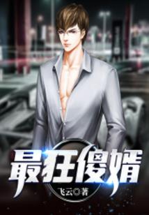 达摩的主要职业