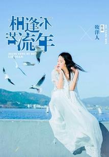 尼尔 ps4 手柄