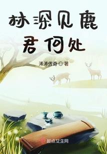 大头的那个皮肤好