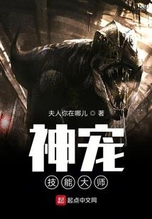 剑士气剑属性