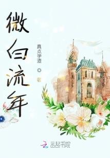 人形盾牌mod