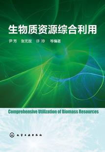 梦幻西游炉子更新