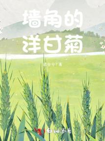 开悟者任务装备