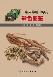 绝地求生空中接力视频