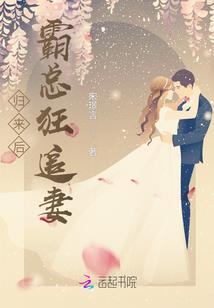 用什么英雄solo