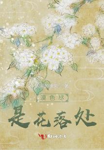 塞尔达传说速通手游