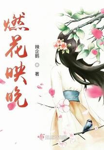 小说荒野的青春