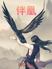 教育装备监理合同