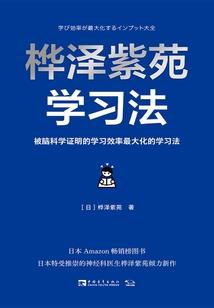 荒野兄弟自制砖头车