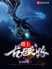 手游狐狸
