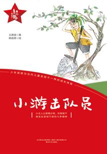 华强北王者版s8