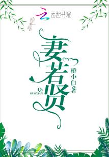 苦丁茶的属性