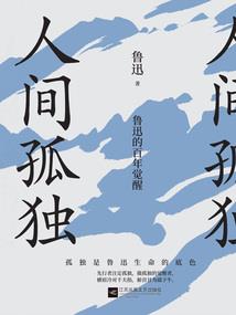 梦幻西游十七年套装