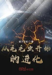 梦幻西游 属性计算器