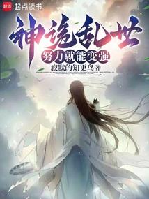 绝对领域游戏