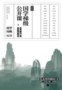 荒野之息 8能力