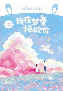 荒野魂斗罗2.0
