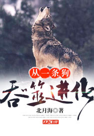 双胞胎出行攻略