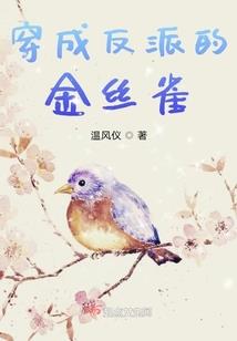 掌上英雄联盟是干嘛的