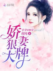 宠妃来了攻略