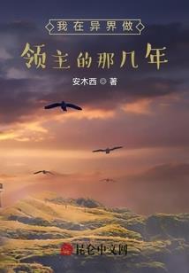 我的世界之盾牌村民