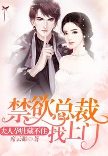 美景皮肤