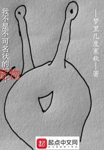 css无效的属性名称