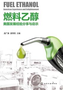 甲戌年五行属性是什么命