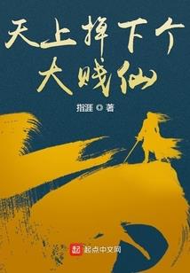 职业懂事