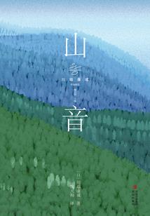 正版武装突袭mod