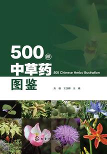 国产防坠落装备排名