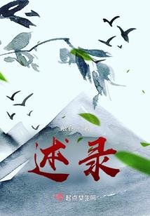 女巫时装属性