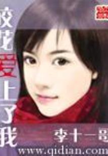 安字五行属性