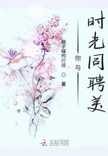 王者法师通用符文4级