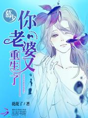 王者专精装备现状分析