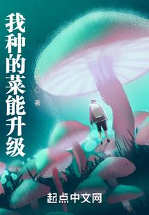 莫枫攻略