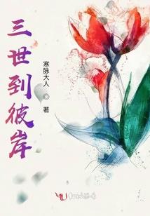 小黑的宝藏攻略18攻略